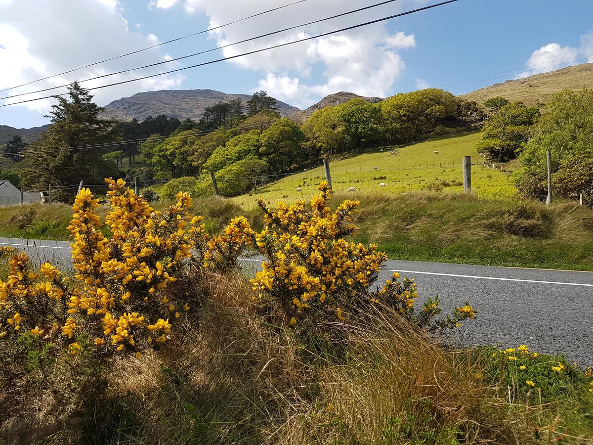 Kylemore Pass Hotel 레터프랙 외부 사진